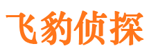 突泉市侦探公司